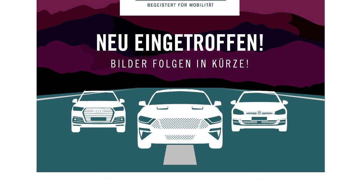 VW T-Roc 29.980 km 23.900 &euro; Bruchsal 76646