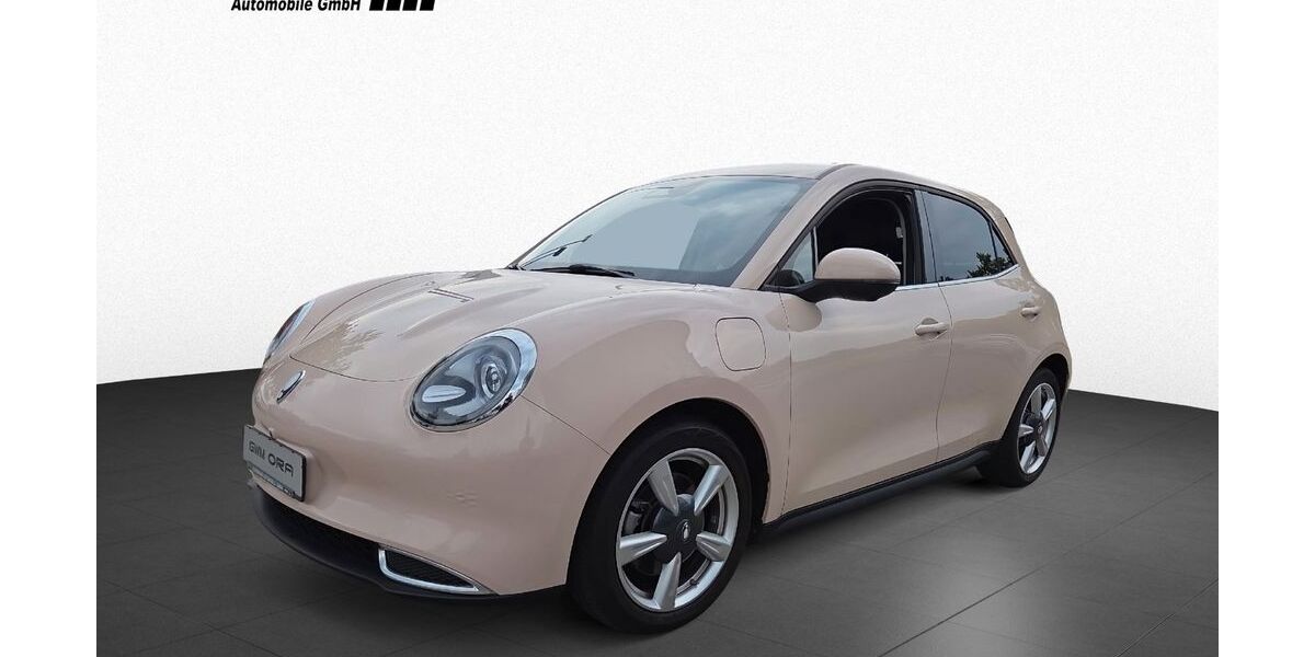 GWM Ora 03 15.975 km 21.990 &euro; Pforzheim 75179